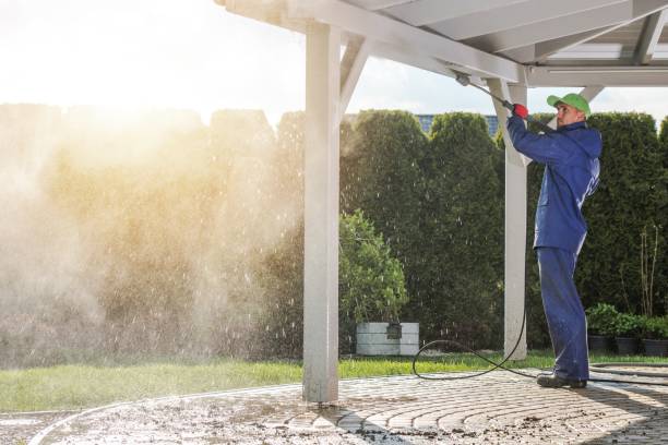 Best Fence Cleaning  in Lawton, MI